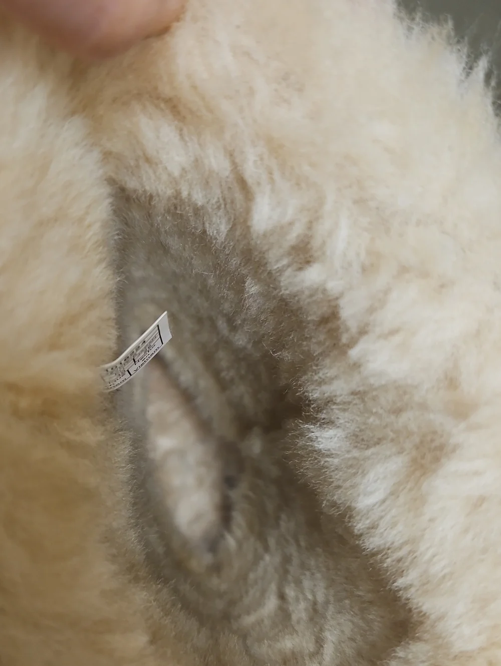 UGG Chestnut Suede Shearling Cuff Winter Boots